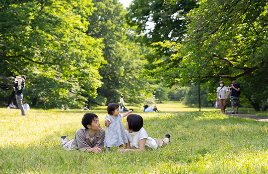 砧公園 東京都世田谷区