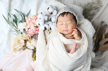 newborn gallery