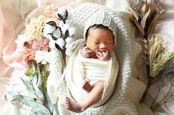 newborn gallery