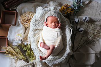 newborn gallery