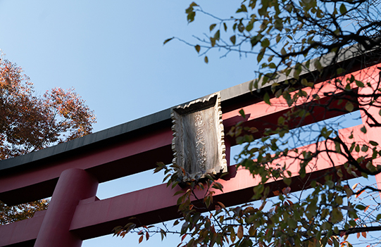 亀戸天神社　東京都江東区