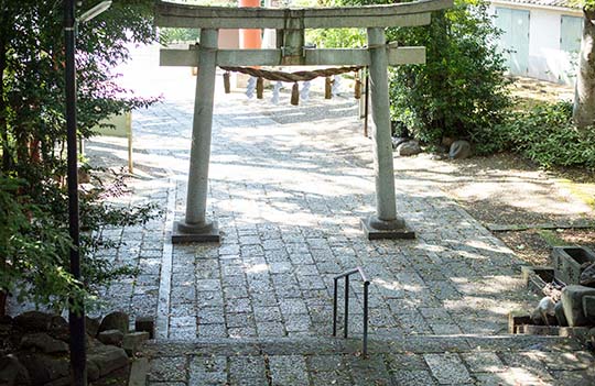 世田谷八幡宮 東京都世田谷区