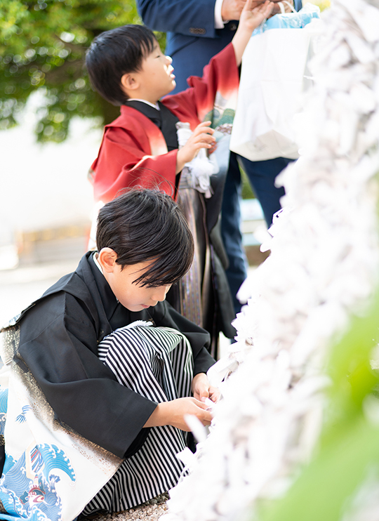 阿佐ヶ谷神明宮 東京杉並区