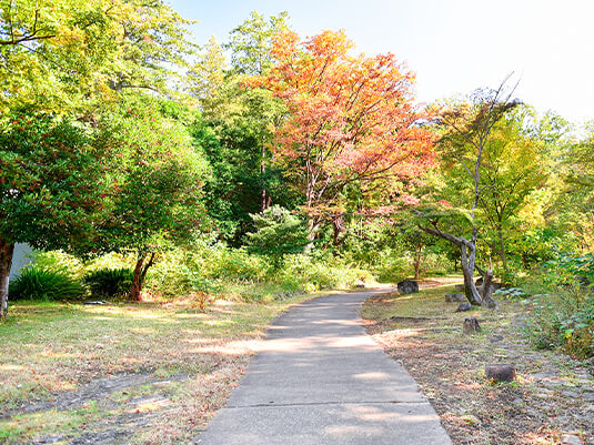 青葉区桜台公園