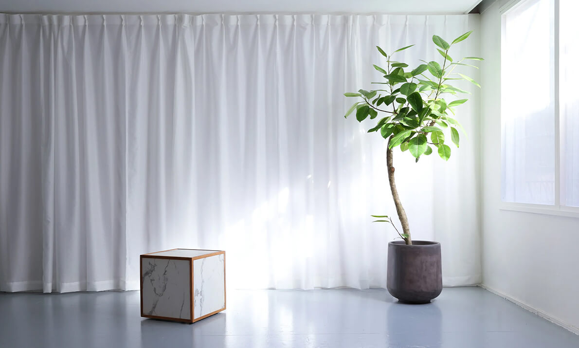 “ふとした一瞬” が際立つ、素材や色の組み合わせにこだわったスタジオ