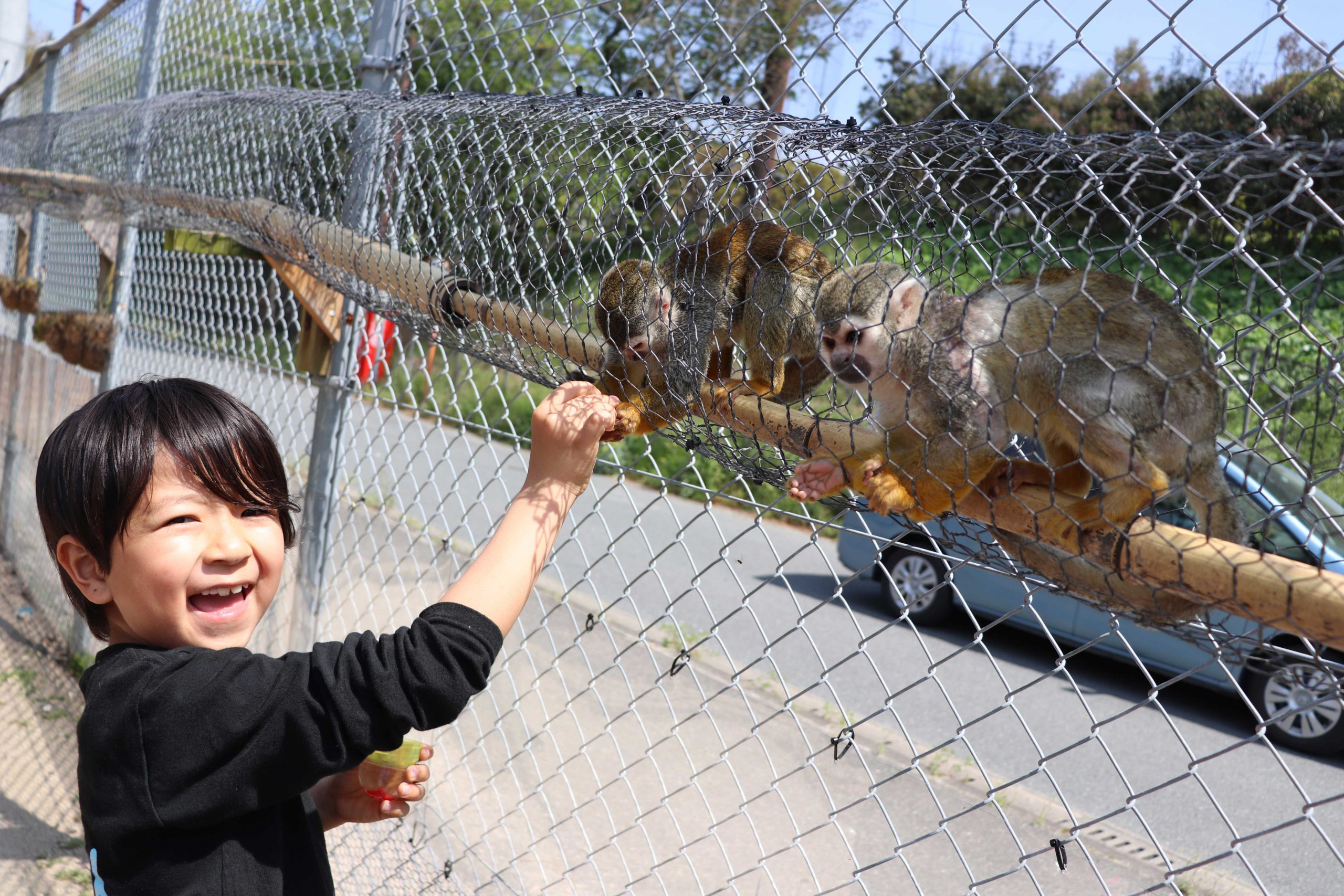 動物園で撮影する際に注意してほしいこと